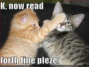 funny-pictures-kittens-check-their-eyesight