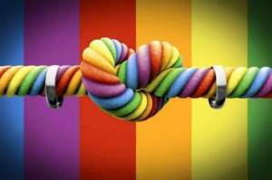 11652063_10153431950299264_1302151637_n